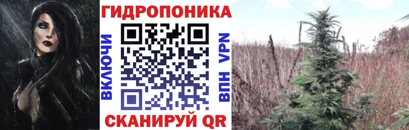 Конопля ГИДРОПОН  Мамоново 